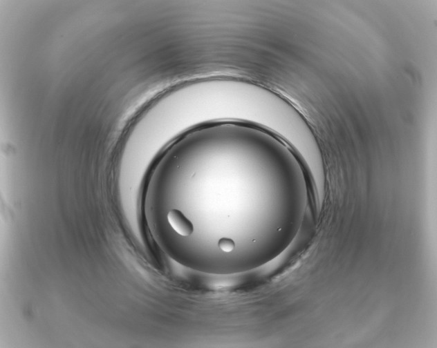 X0000090960350200708091358