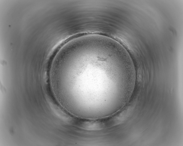X0000090960351200708091358