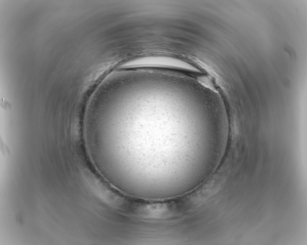 X0000090960353200708091358