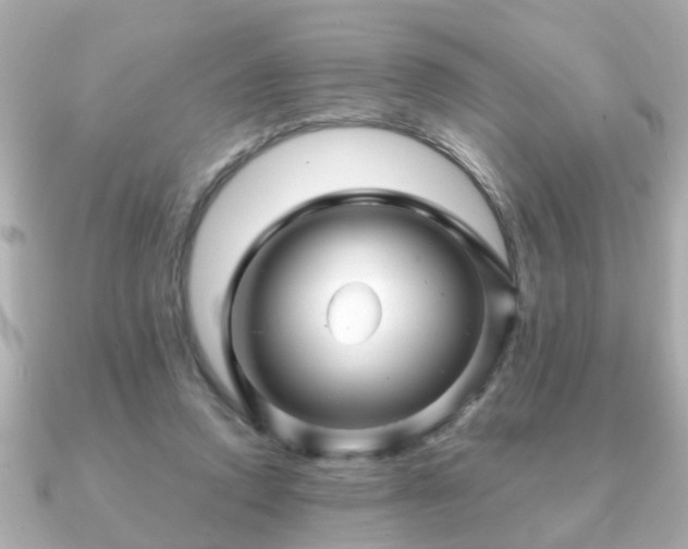 X0000090960354200708091358