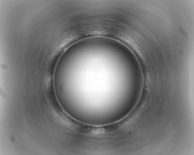 X0000090960355200708091358