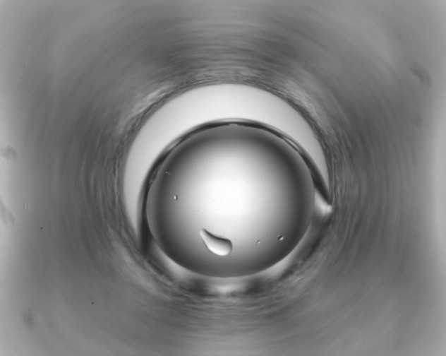 X0000090960356200708091358