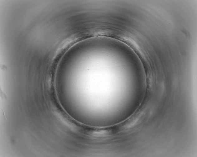 X0000090960357200708091358