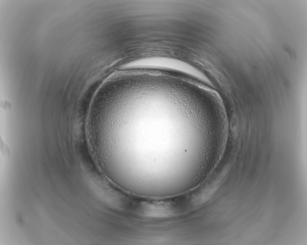 X0000090960359200708091358