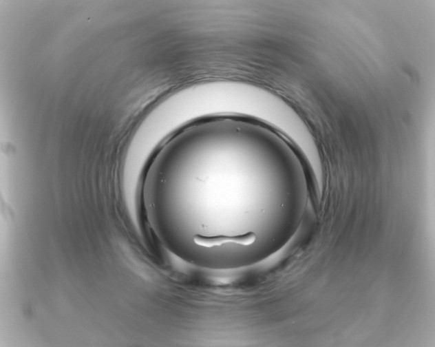X0000090960360200708091358