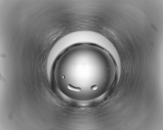 X0000090960364200708091358