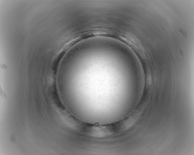 X0000090960367200708091359