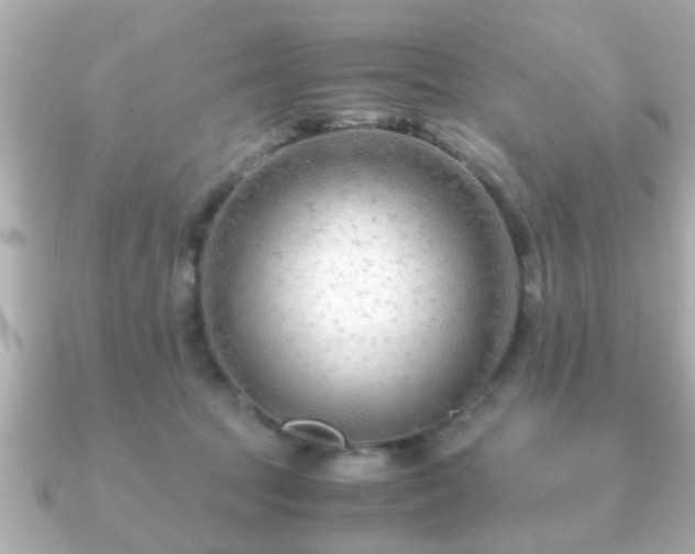 X0000090960369200708091359