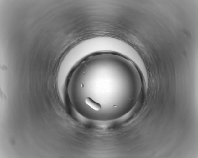 X0000090960370200708091359
