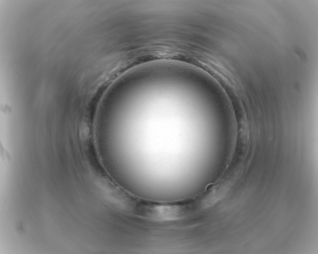 X0000090960371200708091359