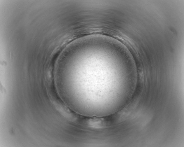 X0000090960373200708091359
