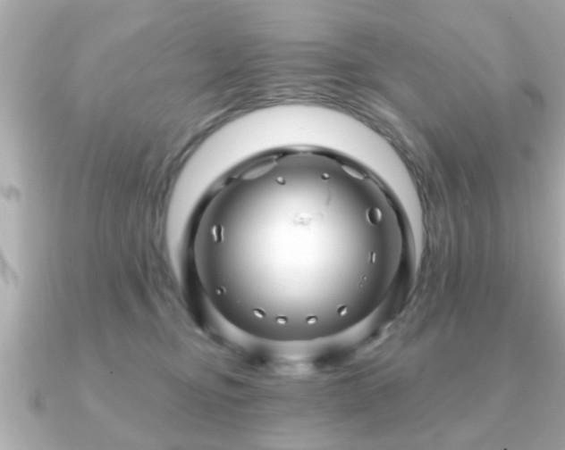 X0000090960374200708091359