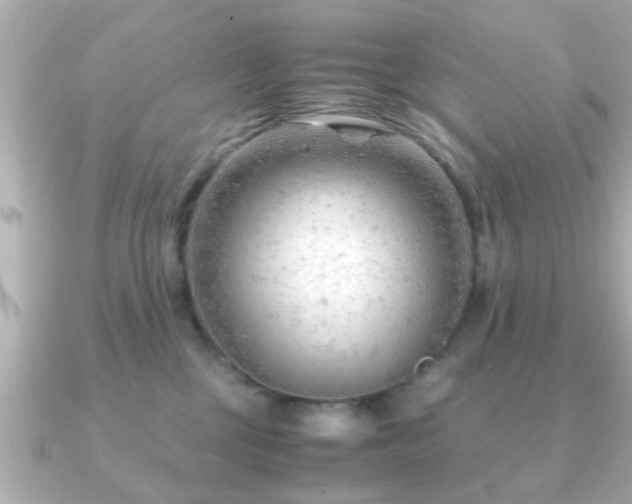 X0000090960377200708091359