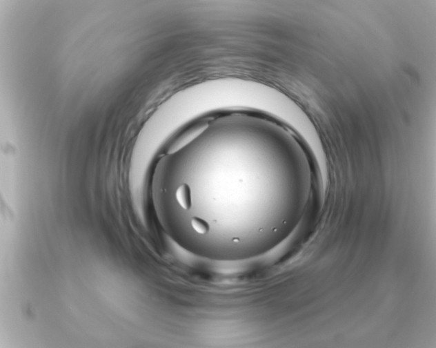 X0000090960382200708091359