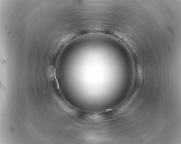 X0000090960383200708091359