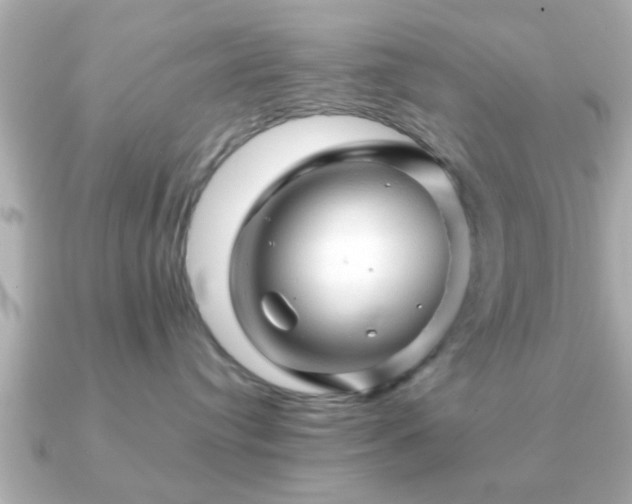 X0000090960384200708091359