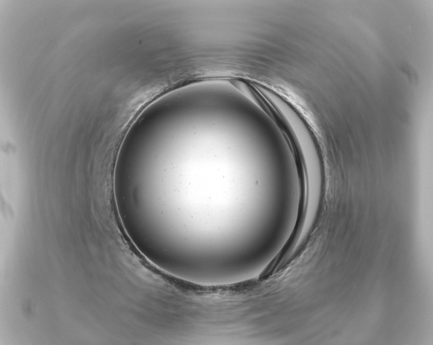 X0000090960385200708091358