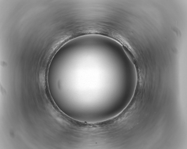 X0000090960386200708091358