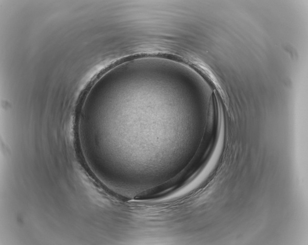 X0000090960387200708091358