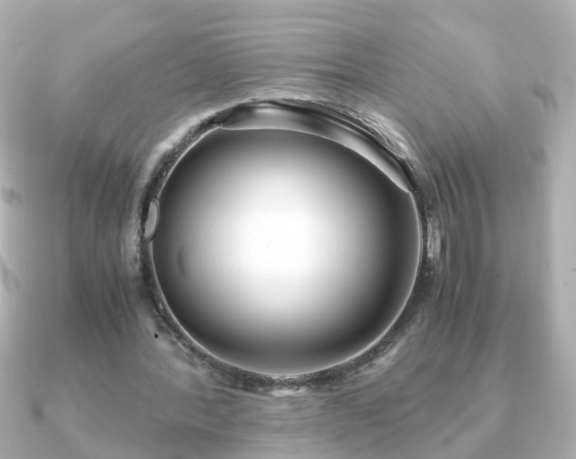X0000090960388200708091358