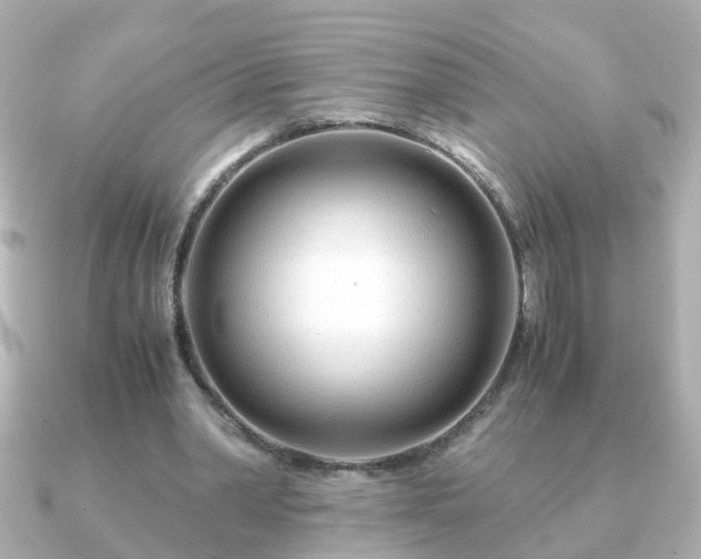 X0000090960390200708091358