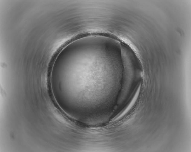 X0000090960391200708091358