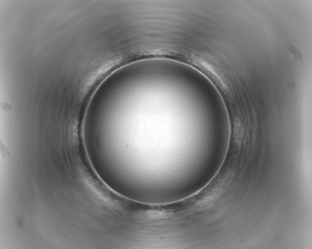 X0000090960394200708091358