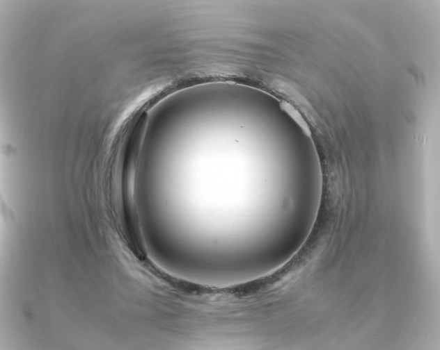 X0000090960395200708091358