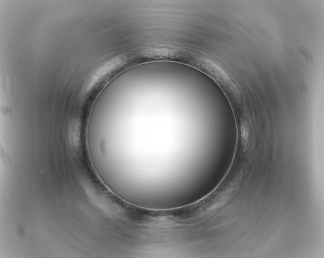 X0000090960396200708091358