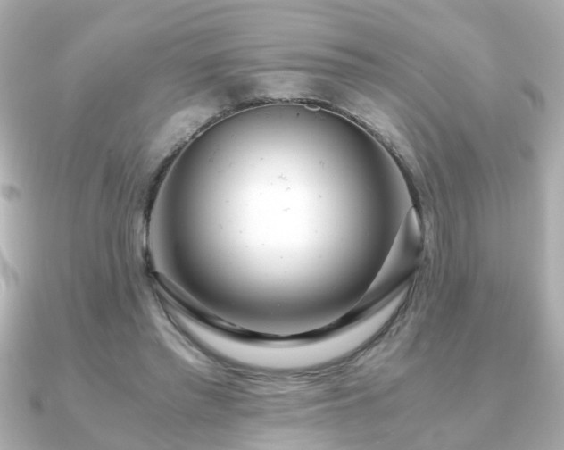X0000090960397200708091358