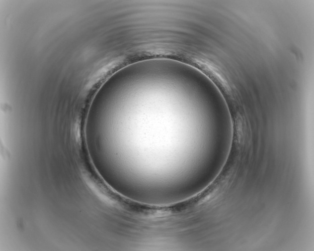 X0000090960398200708091358