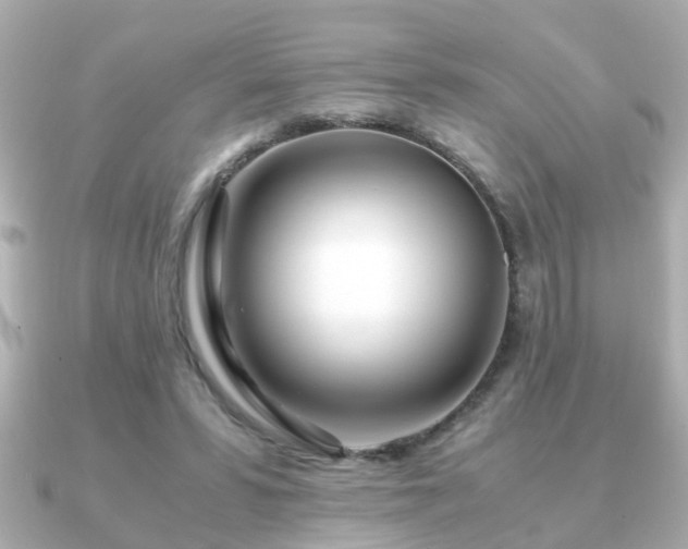 X0000090960399200708091358