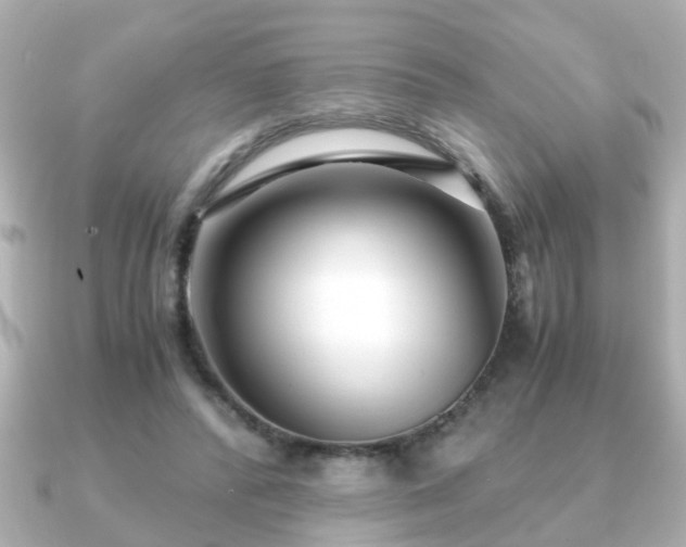 X0000090960400200708091358