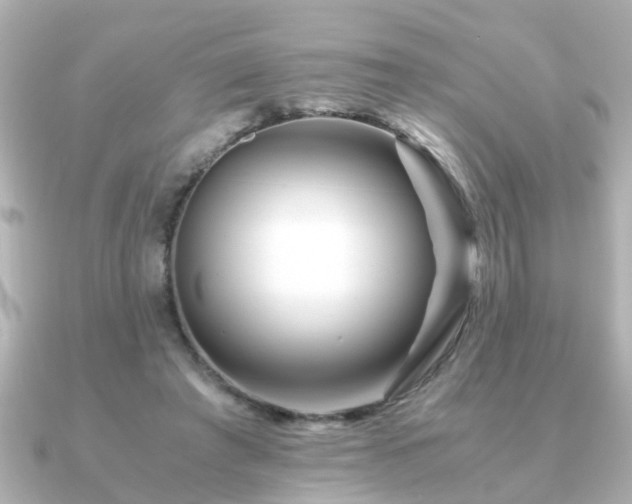 X0000090960401200708091358
