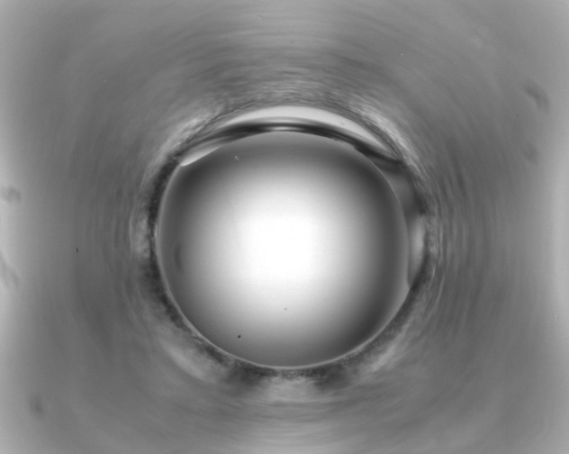 X0000090960403200708091358