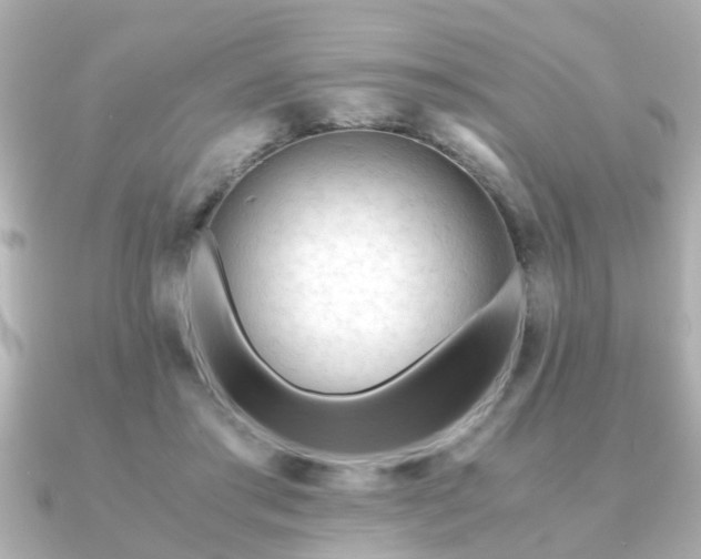 X0000090960405200708091358