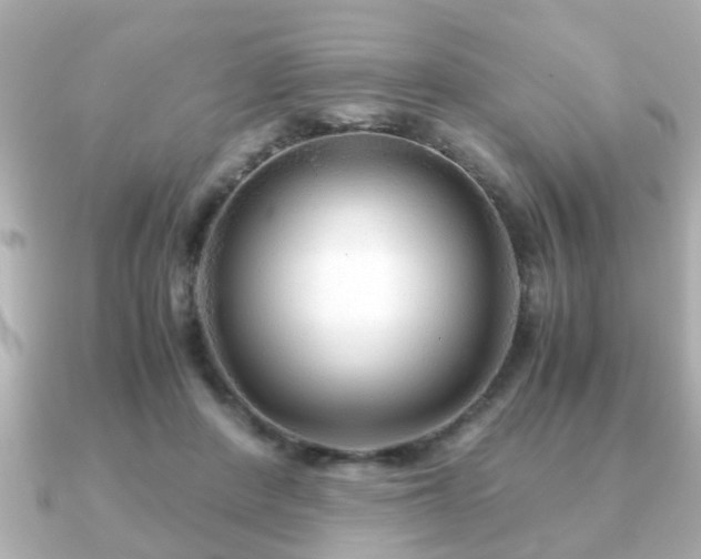 X0000090960408200708091358