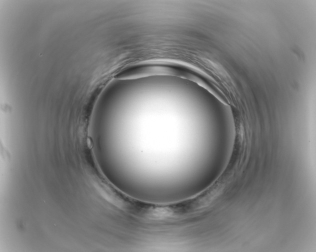 X0000090960409200708091358
