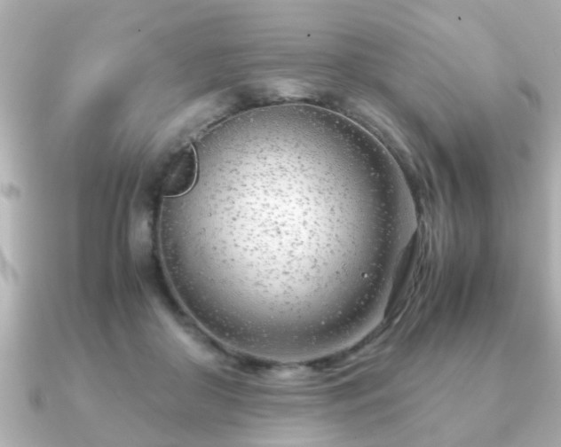 X0000090960410200708091358