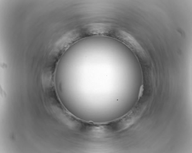 X0000090960411200708091358