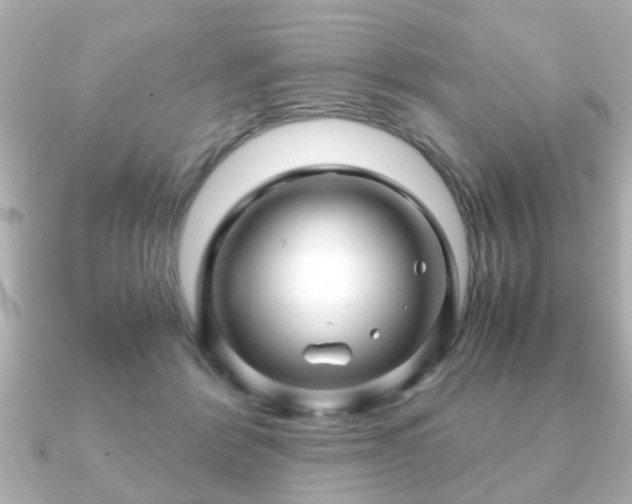 X0000090960412200708091358