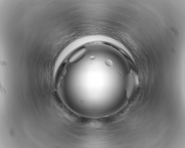 X0000090960416200708091358
