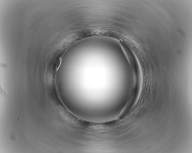 X0000090960417200708091358