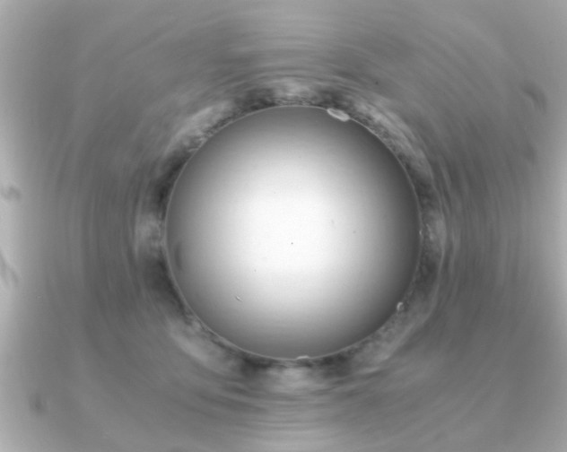 X0000090960419200708091358