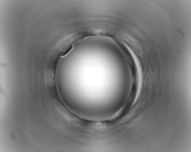 X0000090960421200708091358