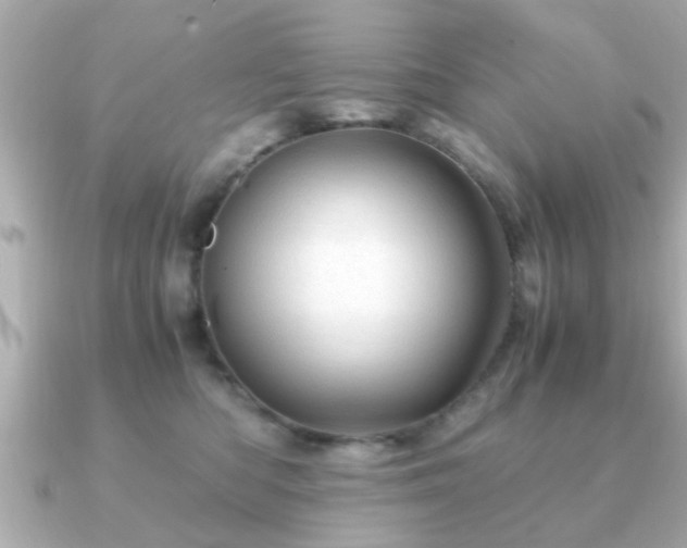 X0000090960422200708091358