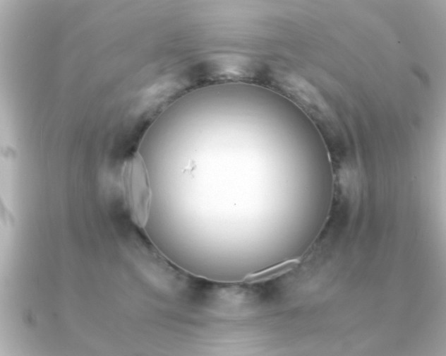 X0000090960423200708091358
