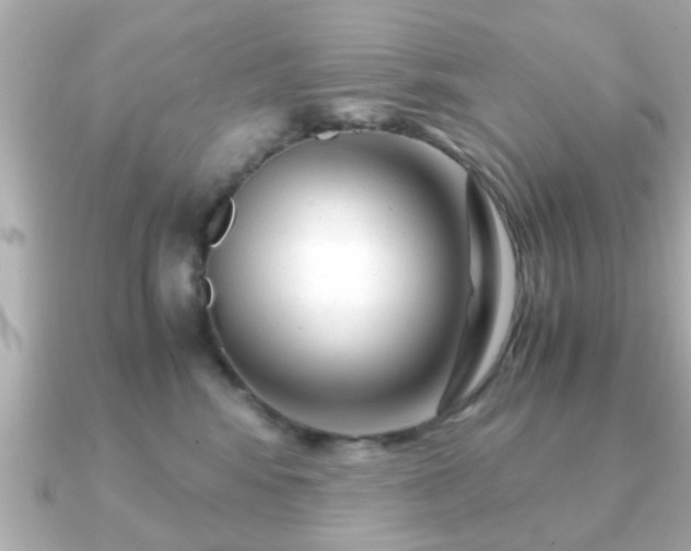 X0000090960424200708091358