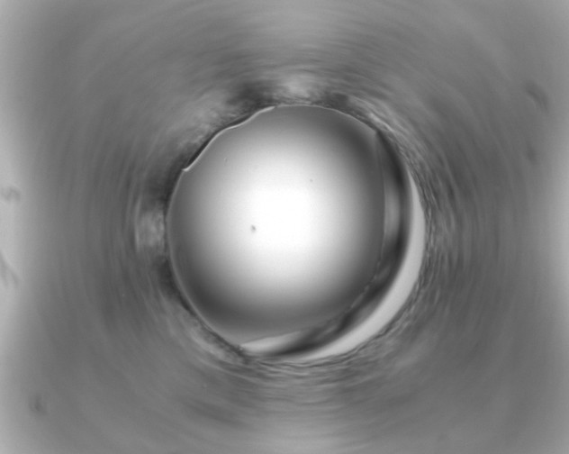 X0000090960425200708091358