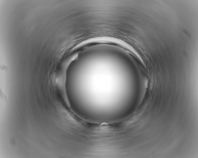 X0000090960428200708091358